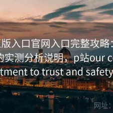 P站正版入口官网入口完整攻略：新手必看的实测分析说明，p站our commitment to trust and safety