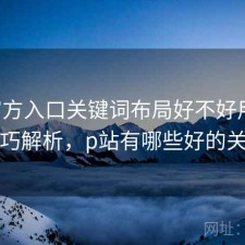P站官方入口关键词布局好不好用与使用技巧解析，p站有哪些好的关键词