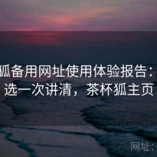 茶杯狐备用网址使用体验报告：怎么选一次讲清，茶杯狐主页