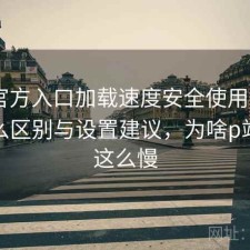 P站官方入口加载速度安全使用指南：有什么区别与设置建议，为啥p站加载这么慢
