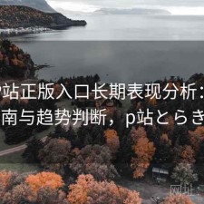 正规P站正版入口长期表现分析：避坑指南与趋势判断，p站とらきち