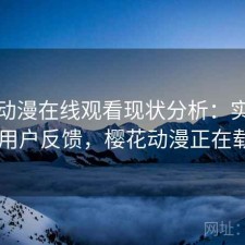 樱花动漫在线观看现状分析：实测分析与用户反馈，樱花动漫正在载入...