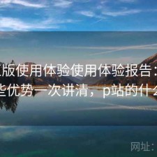 P站正版使用体验使用体验报告：有哪些优势一次讲清，p站的什么