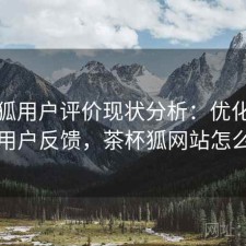 茶杯狐用户评价现状分析：优化方法与用户反馈，茶杯狐网站怎么样