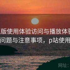 P站正版使用体验访问与播放体验：存在的问题与注意事项，p站使用说明