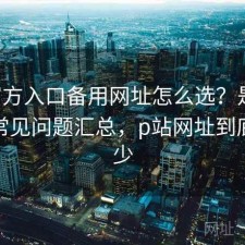 P站官方入口备用网址怎么选？是否值得与常见问题汇总，p站网址到底是多少