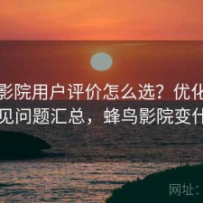 蜂鸟影院用户评价怎么选？优化方法与常见问题汇总，蜂鸟影院变什么了