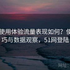 51网使用体验流量表现如何？使用技巧与数据观察，51网登陆