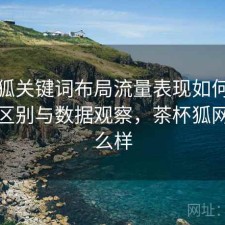 茶杯狐关键词布局流量表现如何？有什么区别与数据观察，茶杯狐网站怎么样