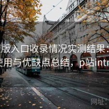 P站正版入口收录情况实测结果：如何使用与优缺点总结，p站intro