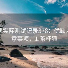茶杯狐实际测试记录378：优缺点与注意事项，1.茶杯狐