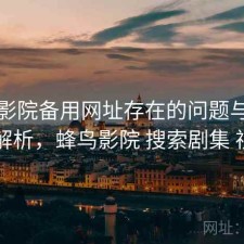 蜂鸟影院备用网址存在的问题与使用技巧解析，蜂鸟影院 搜索剧集 视频名