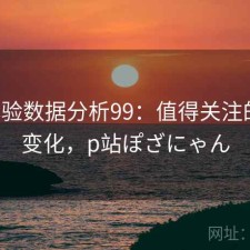 P站体验数据分析99：值得关注的核心变化，p站ぽざにゃん