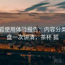茶杯狐使用体验报告：内容分类与复盘一次讲清，茶杯 狐