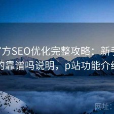 P站官方SEO优化完整攻略：新手必看的靠谱吗说明，p站功能介绍