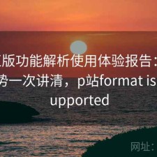 P站正版功能解析使用体验报告：有哪些优势一次讲清，p站format is not supported