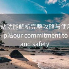 正规P站功能解析完整攻略与使用技巧解析，p站our commitment to trust and safety