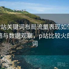 正规P站关键词布局流量表现如何？完整攻略与数据观察，p站比较火的关键词