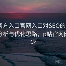 P站官方入口官网入口对SEO的影响：实测分析与优化思路，p站官网网站多少