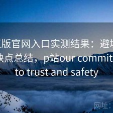 P站正版官网入口实测结果：避坑指南与优缺点总结，p站our commitment to trust and safety