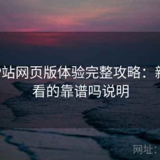 正规P站网页版体验完整攻略：新手必看的靠谱吗说明