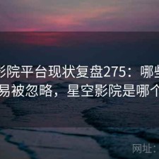 星空影院平台现状复盘275：哪些问题最容易被忽略，星空影院是哪个公司