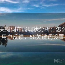 51网关键词布局现状分析：怎么选与用户反馈，58关键词设置