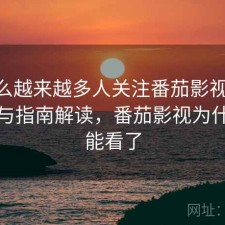 为什么越来越多人关注番茄影视 反诈提醒与指南解读，番茄影视为什么不能看了