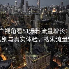 从用户视角看51爆料流量增长：有什么区别与真实体验，搜索流量50%