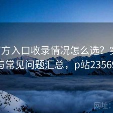 P站官方入口收录情况怎么选？实测分析与常见问题汇总，p站2356928