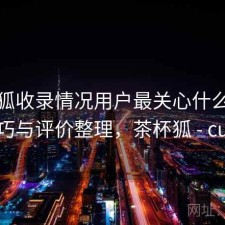 茶杯狐收录情况用户最关心什么？使用技巧与评价整理，茶杯狐 - cupfox