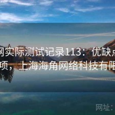 海角网实际测试记录113：优缺点与注意事项，上海海角网络科技有限公司