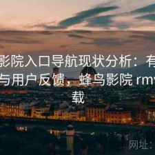 蜂鸟影院入口导航现状分析：有哪些优势与用户反馈，蜂鸟影院 rmvb 下载