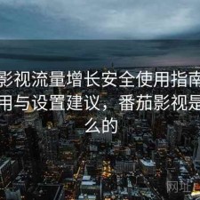 番茄影视流量增长安全使用指南：好不好用与设置建议，番茄影视是看什么的