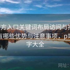 P站官方入口关键词布局访问与播放体验：有哪些优势与注意事项，p站关键字大全
