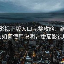 番茄影视正版入口完整攻略：新手必看的如何使用说明，番茄影视咋样