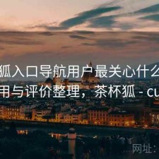 茶杯狐入口导航用户最关心什么？如何使用与评价整理，茶杯狐 - cupfox