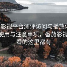 番茄影视平台测评访问与播放体验：如何使用与注意事项，番茄影视 你想看的这里都有
