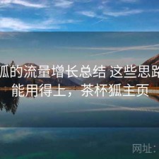 茶杯狐的流量增长总结 这些思路你可能用得上，茶杯狐主页