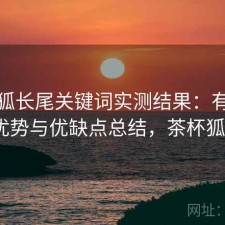 茶杯狐长尾关键词实测结果：有哪些优势与优缺点总结，茶杯狐0