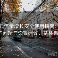 茶杯狐流量增长安全使用指南：存在的问题与设置建议，茶杯狐a