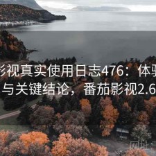 番茄影视真实使用日志476：体验变化与关键结论，番茄影视2.6