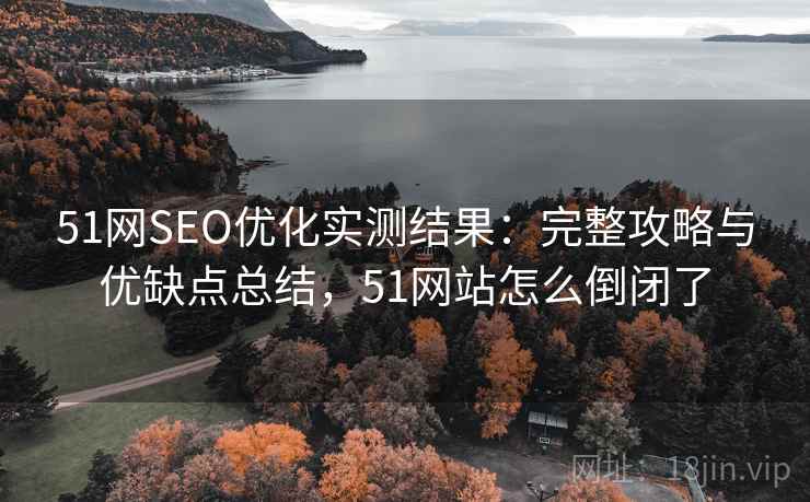51网SEO优化实测结果：完整攻略与优缺点总结，51网站怎么倒闭了  第2张