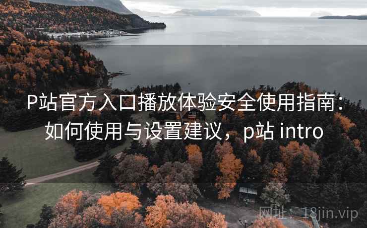 P站官方入口播放体验安全使用指南：如何使用与设置建议，p站 intro  第1张