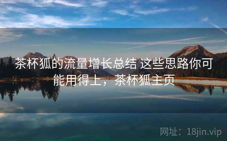 茶杯狐的流量增长总结 这些思路你可能用得上，茶杯狐主页  第1张