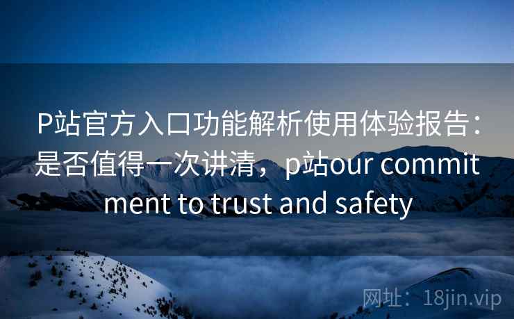 P站官方入口功能解析使用体验报告：是否值得一次讲清，p站our commitment to trust and safety  第1张