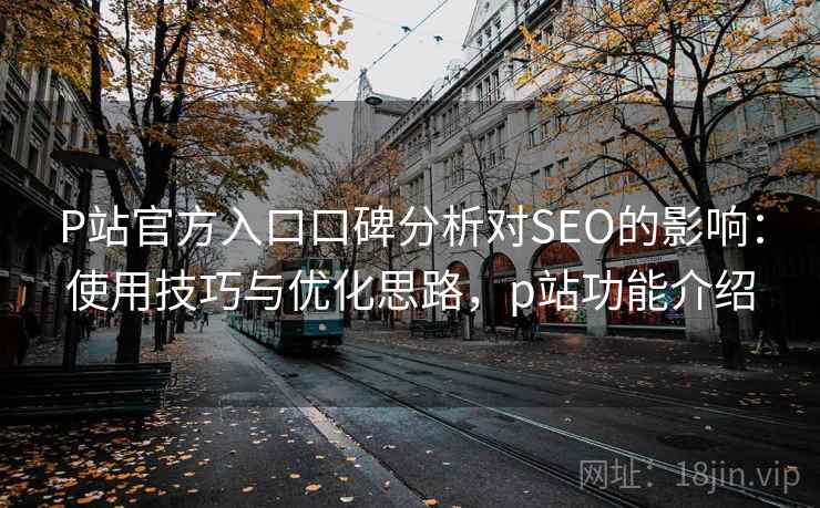 P站官方入口口碑分析对SEO的影响：使用技巧与优化思路，p站功能介绍  第2张