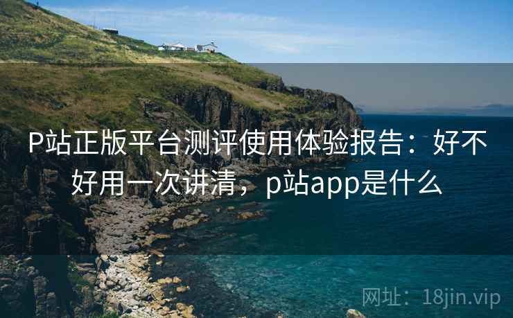 P站正版平台测评使用体验报告：好不好用一次讲清，p站app是什么  第2张
