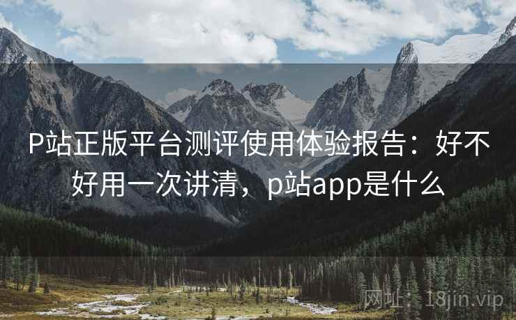 P站正版平台测评使用体验报告：好不好用一次讲清，p站app是什么  第1张