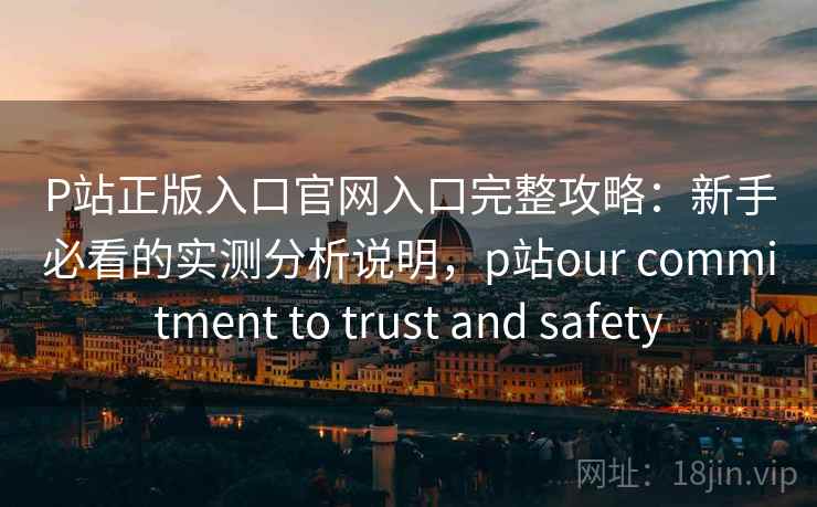 P站正版入口官网入口完整攻略：新手必看的实测分析说明，p站our commitment to trust and safety  第1张